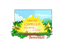 Tablet Screenshot of cascinacapello.it